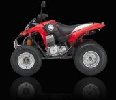 2009 Kreidler Mustang 250 photo